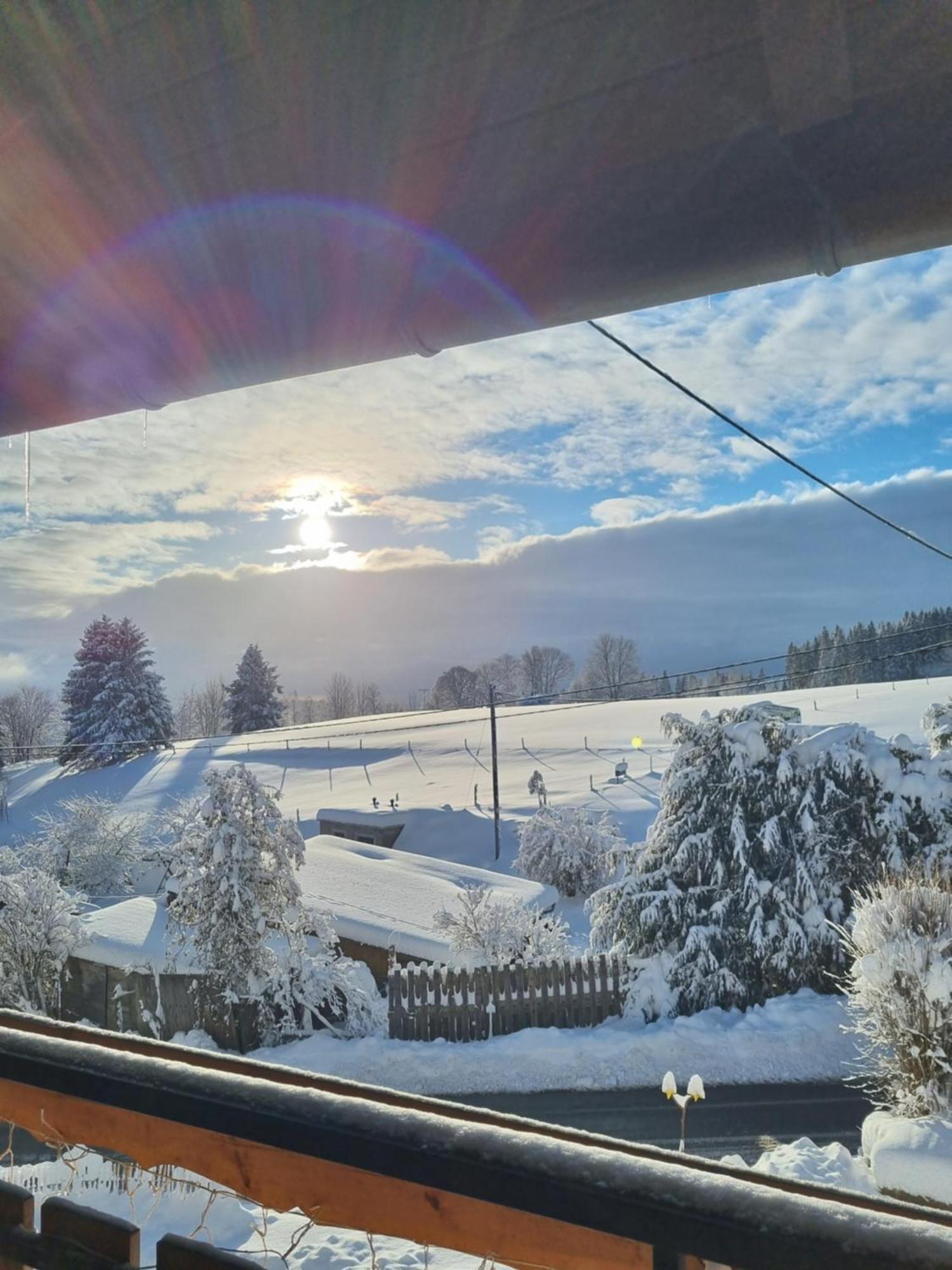 Gaestehaus Bartlehof Schluchsee Exteriör bild